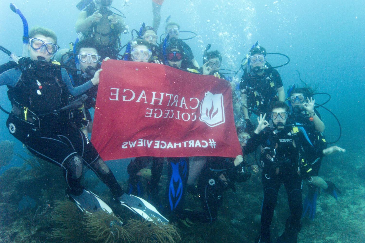 学生们手持<a href='http://rm9o.spicephoto.com'>博彩网址大全</a>旗帜，在j学期洪都拉斯游学之旅中潜水.